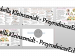 Minizestaw na temat „Higiena i choroby układu pokarmowego” – sketchnotka + karta pracy w power point + gratisowy link do prezentacji multimedialnej niekomercyjnej wykonanej w genial.ly do indywidualnego pobrania i użycia do celów niekomercyjnych. Biologi