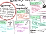 Klasyfikacja organizmów (sketchnotka)