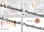 Minizestaw na temat „Obwodowy układ nerwowy. Odruchy” – sketchnotka + karta pracy w power point + gratisowy link do prezentacji multimedialnej niekomercyjnej wykonanej w genial.ly do indywidualnego pobrania i użycia do celów niekomercyjnych. Biologia 7, 