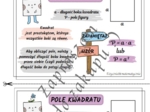 Pole kwadratu - wklejka do zeszytu.