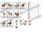 Zestaw kart obrazkowych: FARMS ANIMALS SET 1