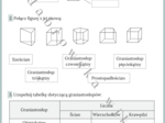 Graniastosłupy proste - karta pracy