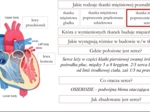 Jak uczyć biologii kreatywnie? Sketchnotki, eksperymenty i odkrywcze lekcje – webinar Anety Górzyńskiej