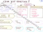 Czym jest genetyka? (sketchnotka)