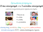 Zabaw sensoryczne na cały rok w domu, żłobku i przedszkolu