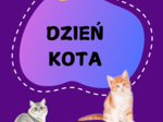 🐱 DZIEŃ KOTA