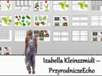 Materiał do zalaminowania/praca w grupach/stacje zadaniowe/układanka/puzzle „Liść – wytwórnia pokarmu” w pdf. Biologia 5, dział „Tkanki i organy roślinne”.