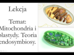 Liceum Klasa 1 ( rozszerzenie) - Mitochondria i plastydy. Teoria endosymbiozy. - prezentacja