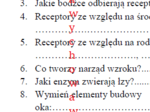 Receptory, narząd wzroku - karta pracy