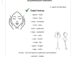 Części ciała workbook + kurs fiszkowy