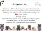 🐾 Dzień Praw Zwierząt – gotowa gazetka edukacyjna A4 (50 stron do druku!) 🐾 Ta gazetka to strzał w dziesiątkę na szkolne obchody Dnia Praw Zwierząt! 💛