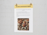 Jak obrać i przechowywać migdały? Plakat edukacyjny.