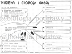 Klasa 7 - Higiena i choroby skóry - sketchnotka
