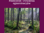 "Pan Tadeusz". Fragment ks. IV. Matecznik – Czytanie ze zrozumieniem - zestaw zadań dla uczniów klas 7–8
