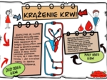 Klasa 7. Biologia. Karta pracy. Krążenie krwi (kolorowa karta pracy)