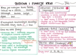 Budowa i funkcje krwi (sketchnotka)