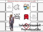 Notatka okienkowa/stacja zadaniowe/notatka interaktywna/notatka graficzna/karta pracy/sketchnotka „Kwasy beztlenowe”, „Właściwości kwasów beztlenowych”, „Wizytówki kwasów beztlenowych” w pdf. Chemia 7 i 8 , dział „Kwasy”. Materiał wykonany na podstawie p
