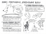 Ssaki - zróżnicowanie budowy ciała - klasa 6- sketchnotka