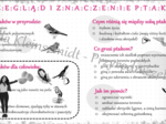 Sketchnotka/notatka do tematu „Przegląd i znaczenie ptaków” – dział V "Kręgowce stałocieplne"