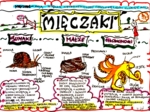 Klasa 6. Biologia. Mięczaki (karta pracy kolorowa)