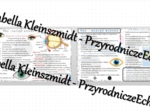 Sketchnotka - notatka „Budowa i działanie narządu wzroku” wykonana w power point do edycji. Biologia 7; „Narządy zmysłów”