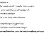 Test- Chemizm życia. Składniki organiczne- lipidy (poziom rozszerzony)
