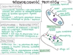 Różnorodność protistów (sketchnotka)