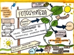 Klasa 5. Biologia. Karta pracy. Fotosynteza (dwie karty pracy)