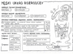 Męski układ rozrodczy - anatomia - klasa 7 - sketchnotka