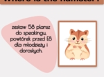 Where is the hamster B1+ E8 - zestaw