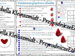 Sketchnotka - notatka „Dziedziczenie grupy krwi” w pdf. Biologia 8; „GENETYKA”