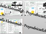 Sketchnotka - notatka „ W wilgotnym lesie równikowym i lesie strefy umiarkowanej” wykonana w power point do edycji. Geografia 5; „Krajobrazy świata”