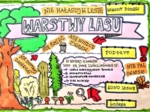 Warstwy lasu. Kolorowa sketchnotka . Klasa 4