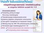 Indywidualny Plan Pracy Rewalidacyjnej – niepełnosprawność intelektualna w stopniu lekkim (kl. 1–3) Gotowe opracowanie Plan Rewalidacji