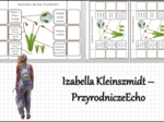 Notatka okienkowa „Budowa mchu płonnika”, „Mchy” w pdf. Biologia 5 dział „Różnorodność roślin”.
