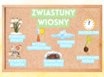 🌤️ GAZETKA ZWIASTUNY WIOSNY 🌤️