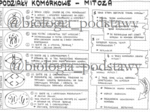 Klasa 8 - Mitoza - sketchnotka