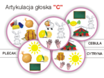 Artykulacja - C