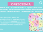 Ratunek egzaminacyjny E8 (j. polski) - gramatyka, ortografia, interpunkcja, rozprawka i opowiadanie