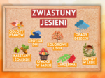 🧡GAZETKA ZWIASTUNY JESIENI🧡