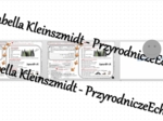 Minizestaw na temat „Mój region” – sketchnotka + karta pracy w power point + gratisowy link do prezentacji multimedialnej niekomercyjnej wykonanej w genial.ly do indywidualnego pobrania i użycia do celów niekomercyjnych. Geografia 7, „Mój region i moja m