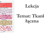 Klasa 6 - Tkanka łączna - prezentacja