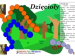 Dzięcioły – Gra planszowa