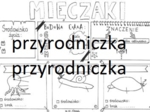 Biologia. Mięczaki - karta pracy