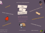 Matura podstawowa: In a nutshell. Słownictwo.
