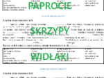 Paprocie, skrzypy i widłaki - test z lukami