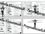 Minizestaw na temat „Rodzaje krajobrazów” – sketchnotka + karta pracy w power point + gratisowy link do prezentacji multimedialnej niekomercyjnej wykonanej w genial.ly do indywidualnego pobrania i użycia do celów niekomercyjnych. Przyroda 4, „Poznajemy k