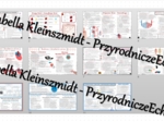 Zestaw sketchnotek – notatek do całego działu „Układ krążenia” wykonanych w power point do edycji. Biologia 7