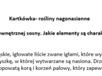 Kartkówka- rośliny nagonasienne