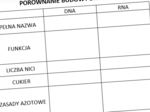 Porównanie budowy DNA i RNA (karta pracy)
